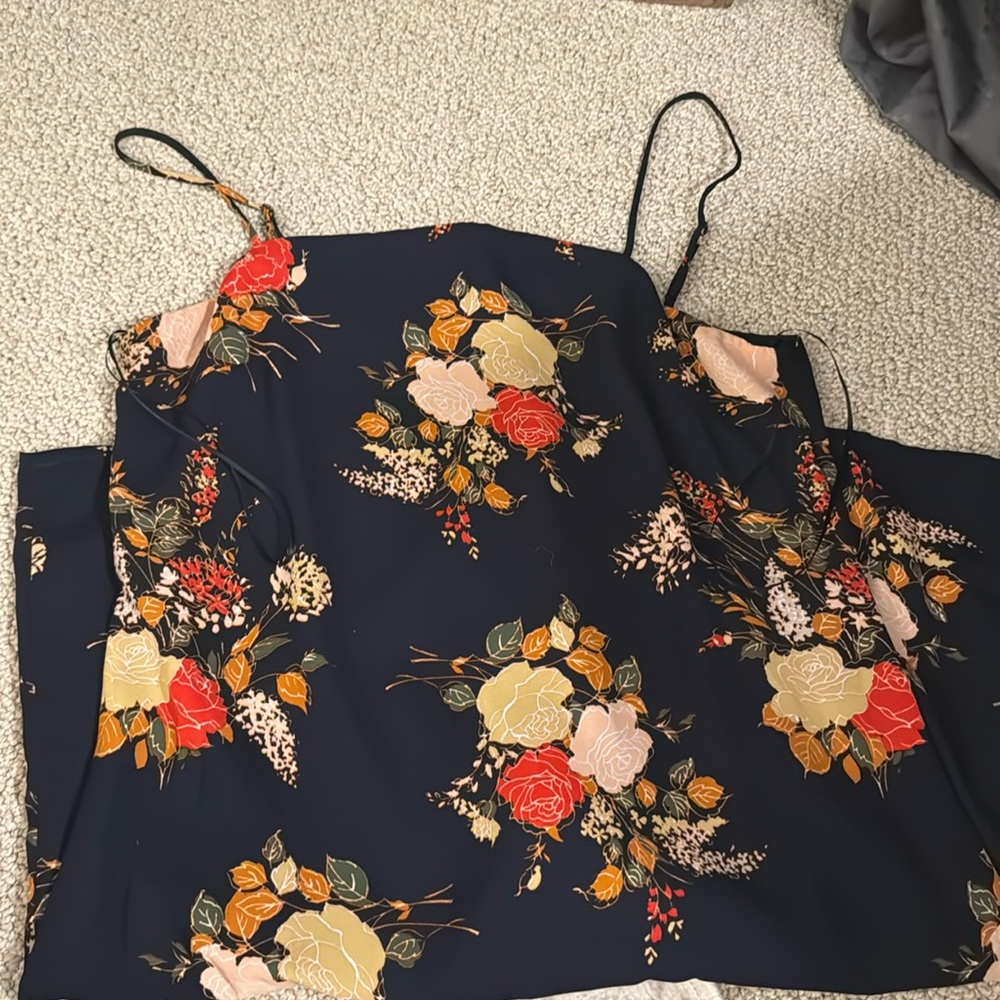 Francesca’s: dress